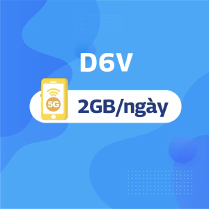 D6V