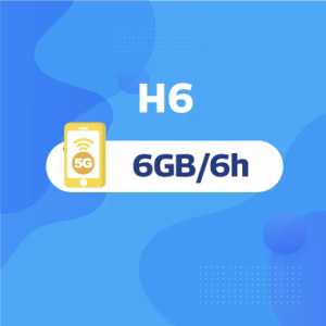 H6